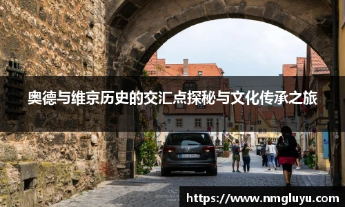 奥德与维京历史的交汇点探秘与文化传承之旅